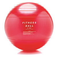 GymQuip Fitballs