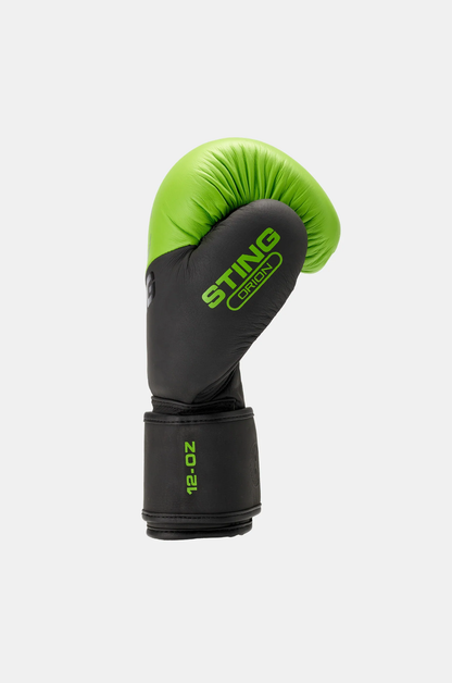 STING Orion Boxing gloves